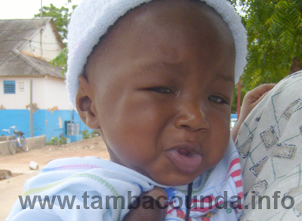 tamba