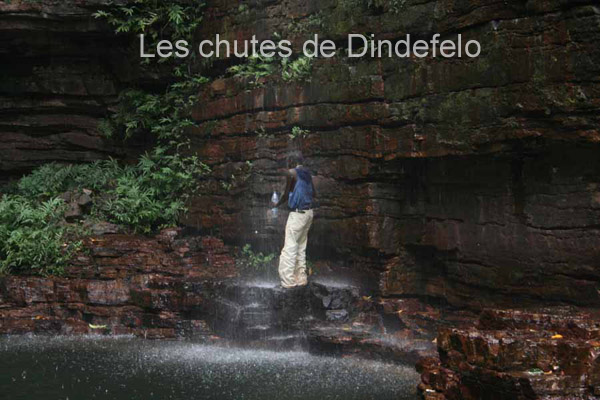 dindeferlo