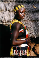 bassari.jpg