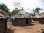 case_bassari.jpg