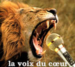 lion