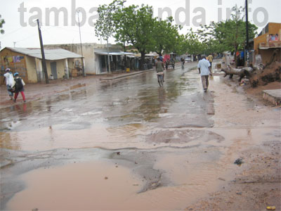 tamba