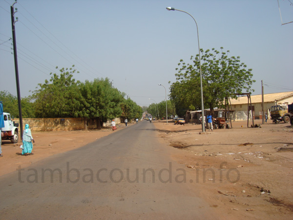 tamba