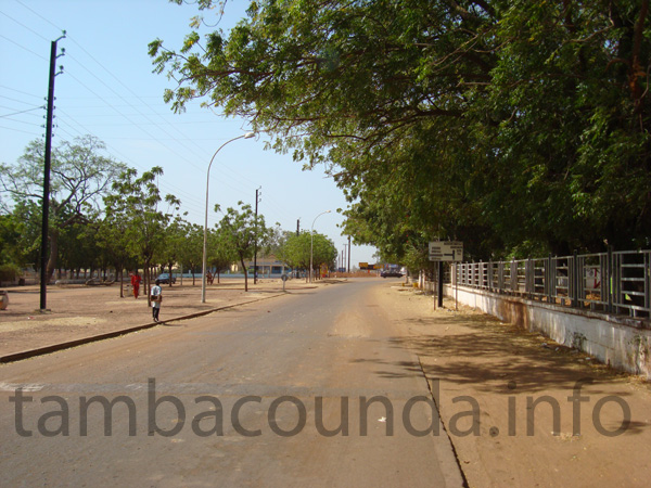 tamba