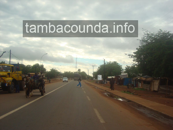 tamba