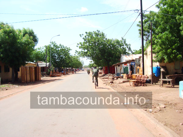 tamba