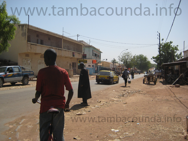 tamba
