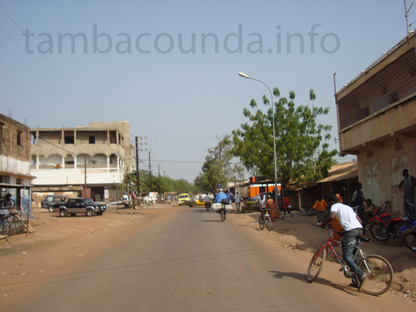 tamba
