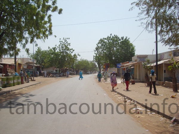 tamba